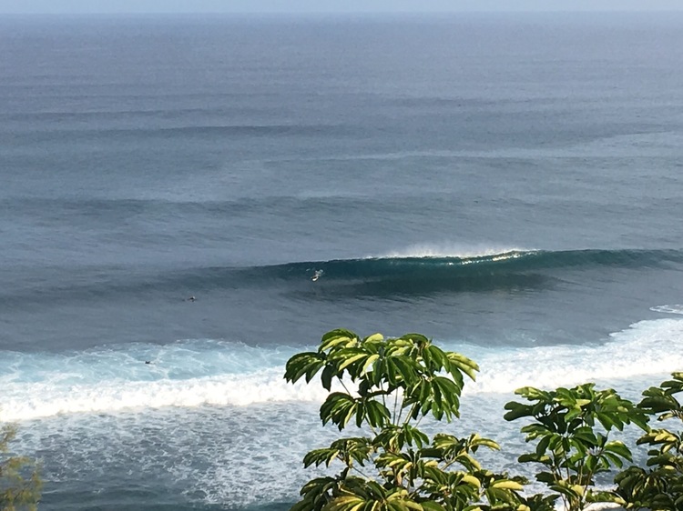 ハワイの波のサイズ | 10ftLeaman
